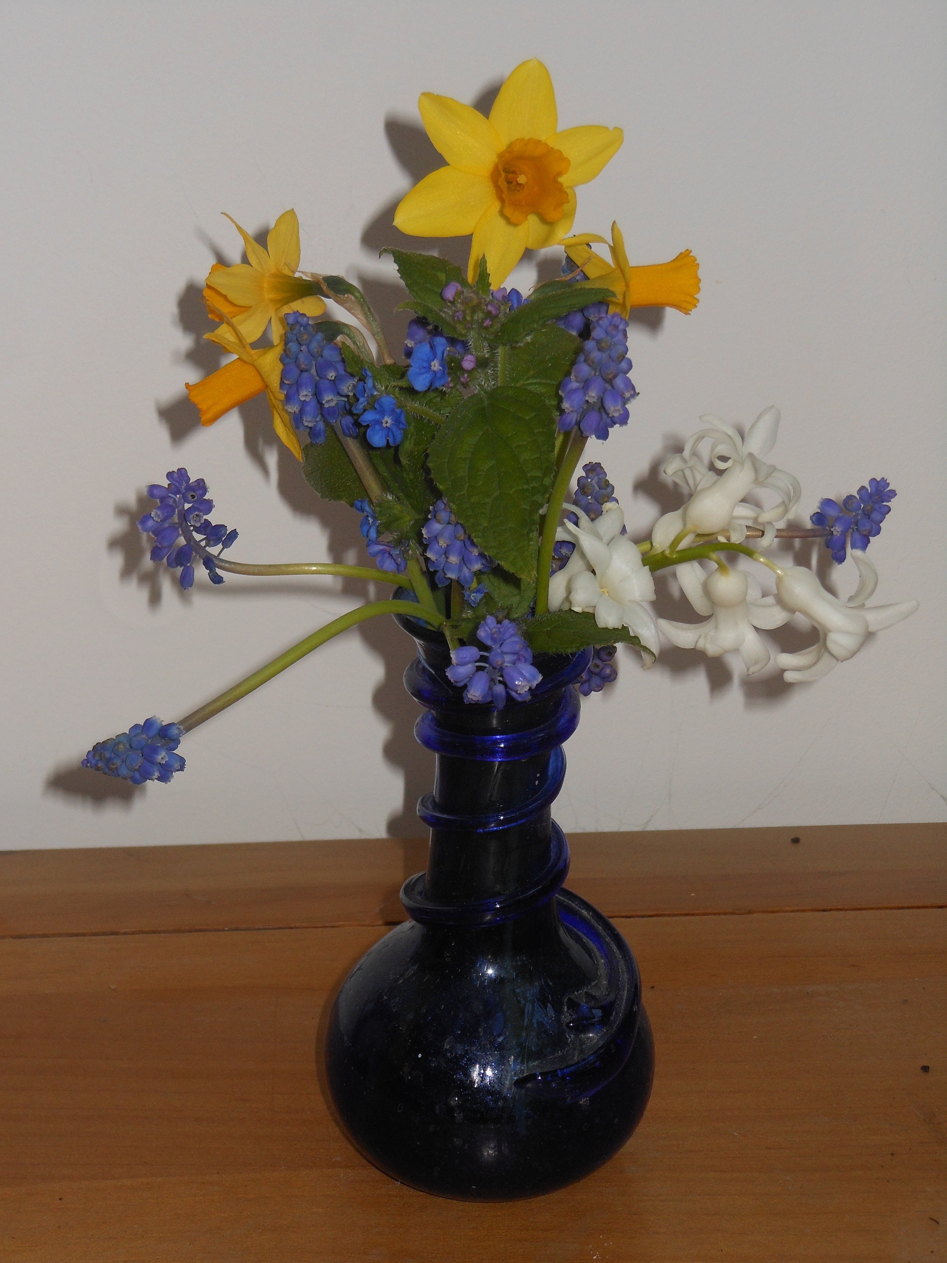 Blog/April 20 Blog pic 4